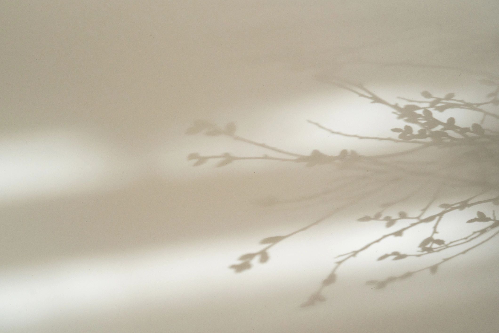 minimalist philosophy